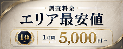 調査料金 エリア最安値 1律 1時間5,000円～